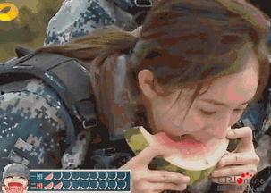 怎么做吃瓜群众视频教程,视频教程带你玩转美食世界