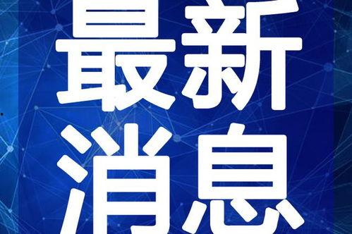 诸城吃瓜最新事件视频,揭秘背后真相与网友热议
