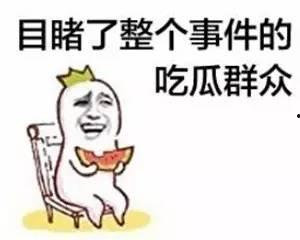 吃瓜群众骂街事件真相视频,还原网络暴力背后的真相