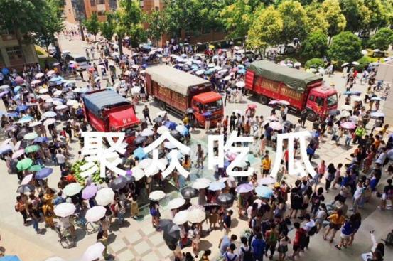 高校吃瓜视频入口,校园热点一网打尽