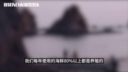 人吃瓜的真实情况视频在线观看,在线观看视频，笑料百出
