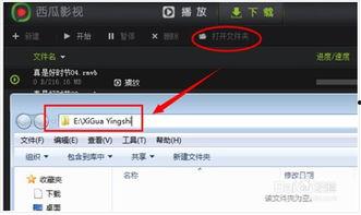 吃瓜虫子视频下载软件,一键下载，畅享娱乐盛宴