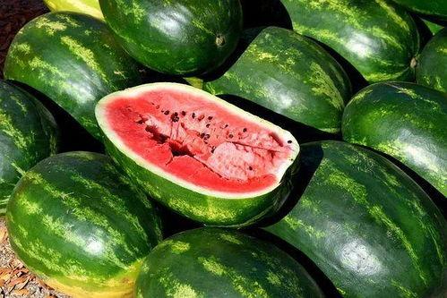 吃沙瓜的视频素材下载大全,尽享夏日清凉瞬间