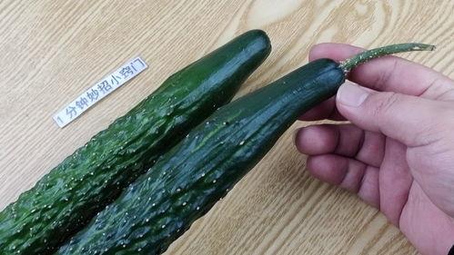 吃瓜烂嘴视频素材大全,海量吃瓜烂嘴视频素材大盘点