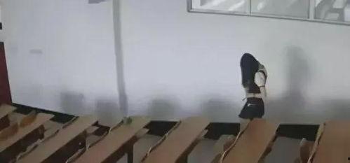 黑龙江科技大学视频吃瓜,揭秘校园生活趣味瞬间