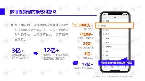 四个字网红吃瓜视频下载,一网打尽热门瞬间
