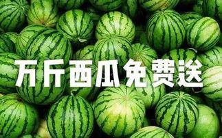 怀远吃瓜视频,揭秘当地特色美食背后的故事
