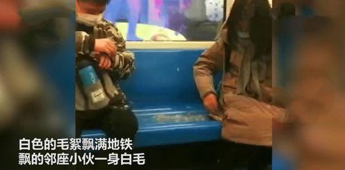 上海炮哥吃瓜事件视频,一场网络狂欢背后的真相揭秘