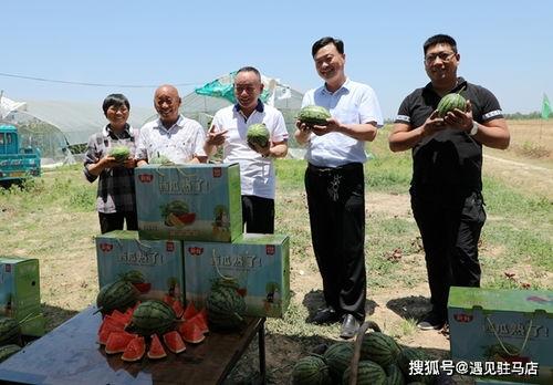 吃瓜少女小提莫视频下载,轻松获取热门内容
