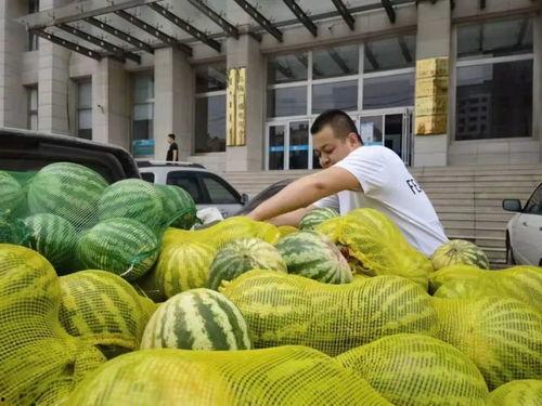 乌海市吃瓜事件视频播放,视频曝光引发社会热议