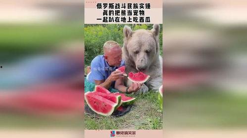 牛熊吃瓜视频大全下载,趣味横生的动物世界大揭秘