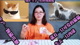 草莓音乐节吃瓜视频,吃瓜群众捕捉精彩瞬间