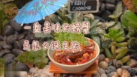 麻瓜能做什么吃的好吃视频,家常美味视频大集合