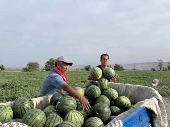 多种吃瓜的视频大全集,笑料百出，揭秘娱乐圈幕后故事