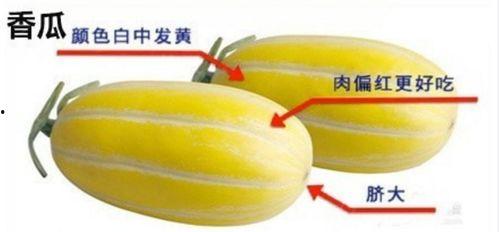 吃瓜掉牙齿视频,网络热议背后的安全警示