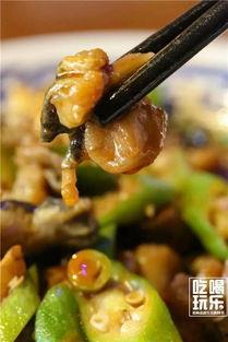 广东人吃八棱瓜视频,八棱瓜的独特风味之旅