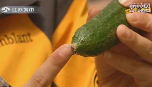 绿瓜变软可以吃吗视频,美味依旧？揭秘食用指南
