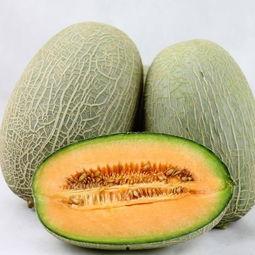 吃哈密瓜儿歌视频播放,甜蜜旋律中的夏日风情