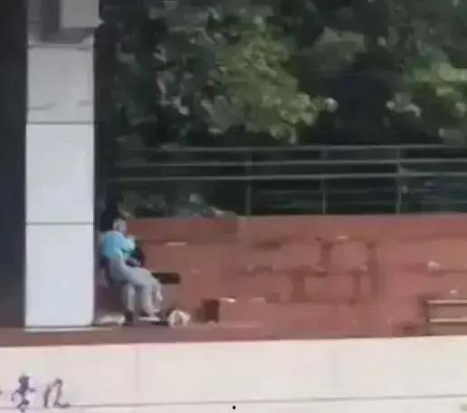 西宁卫校吃瓜视频,一场校园风波背后的真相