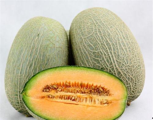 张谦吃哈密瓜视频大全集,视频大全集精彩回顾