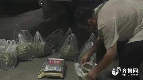 山东吃瓜中毒事件真相视频,揭秘背后的惊人真相