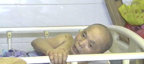 吃老汉瓜过瘾视频大全,视频大全带你领略美味诱惑