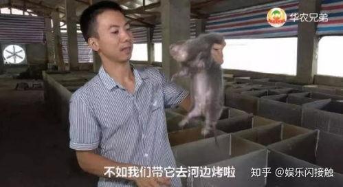 吃老汉瓜过瘾视频大全,视频大全带你领略美味诱惑