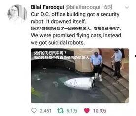 吃瓜机器人视频,揭秘娱乐圈幕后真相的智能利器