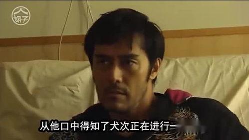 大叔吃瓜尾巴的视频,揭秘娱乐圈幕后真相