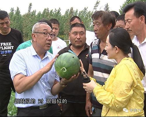 章丘吃瓜群众事件视频,网络围观下的社会现象解析