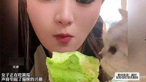 吃瓜视频女生,揭秘吃瓜视频中的女神风采