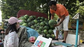 1万元吃瓜视频怎么看,揭秘吃瓜视频背后的经济奇迹