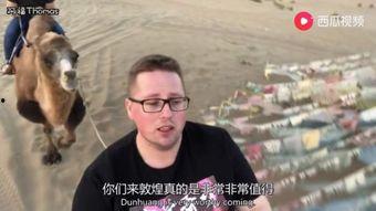 好看德吃瓜视频,好看德吃瓜视频带你领略娱乐盛宴