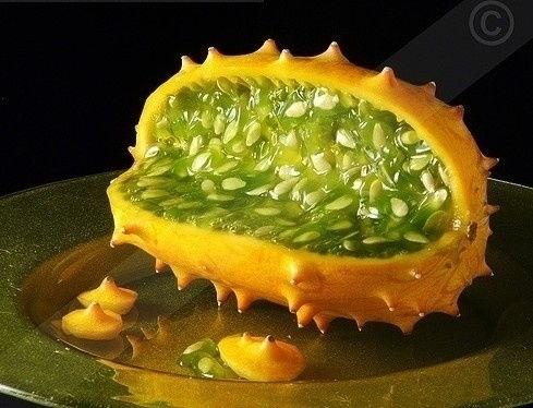 东北人吃角瓜好吗视频,传统美食新体验