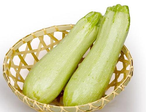 东北人吃角瓜好吗视频,传统美食新体验