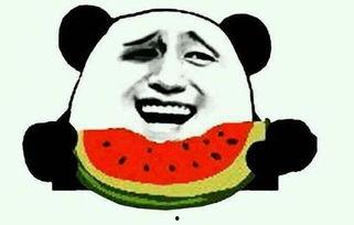 吃瓜吐糟类视频素材,笑料百出，槽点满满！