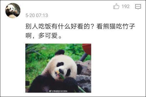 吃瓜熊猫人视频大全,趣味视频大盘点