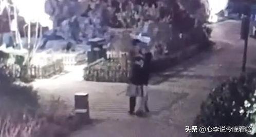 银河吃瓜群众事件视频完整版