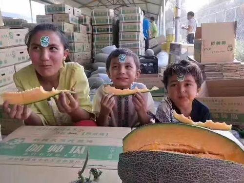 柳州吃瓜视频,揭秘当地特色美食与风土人情